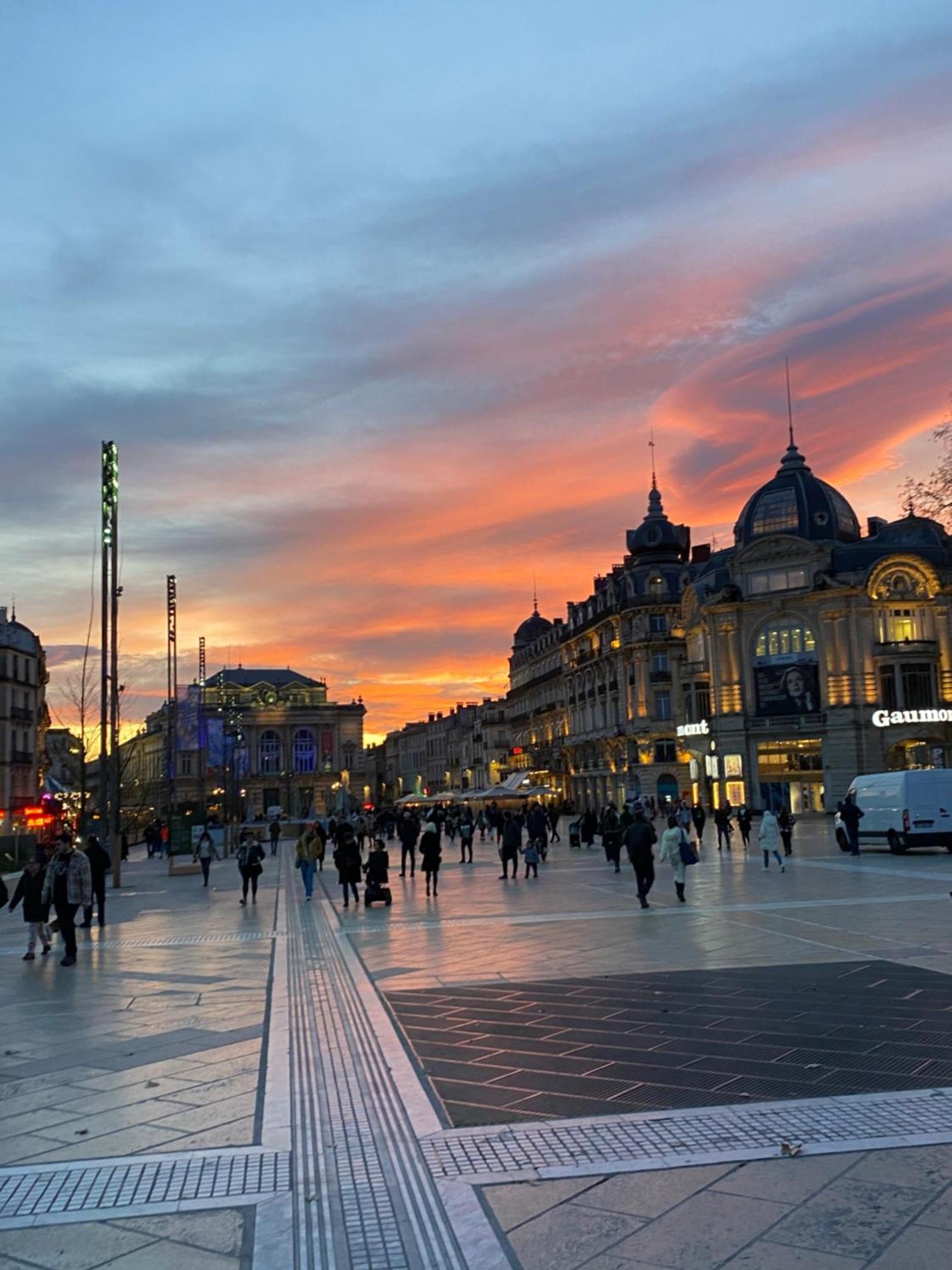 Rives Du Lez - Prestige Lejlighed Montpellier Eksteriør billede