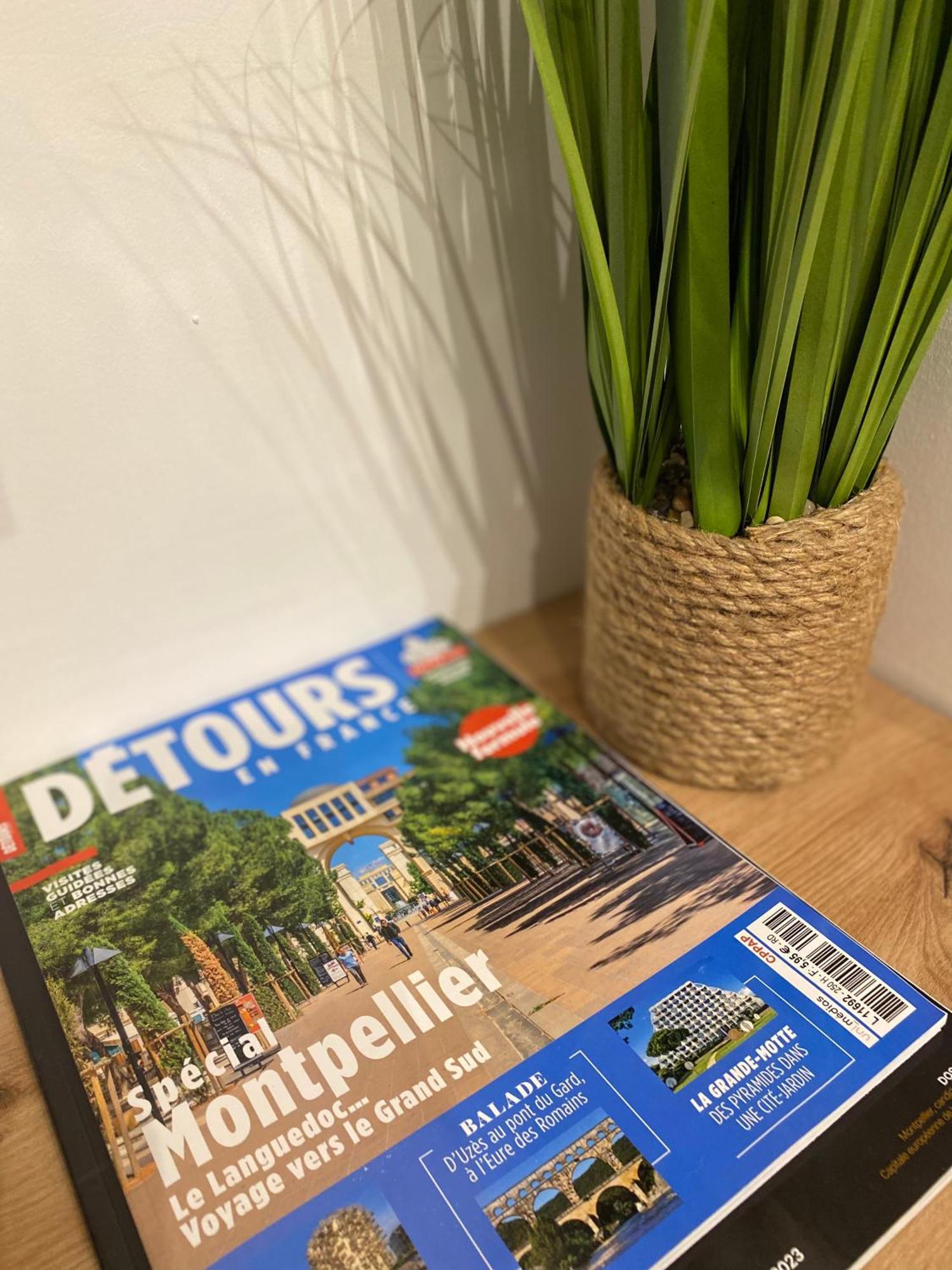 Rives Du Lez - Prestige Lejlighed Montpellier Eksteriør billede